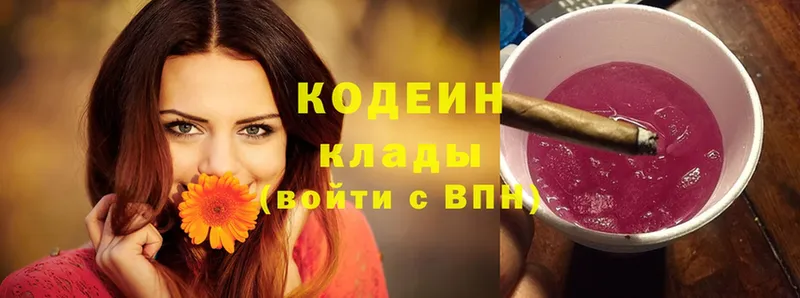 Кодеиновый сироп Lean Purple Drank  Валдай 